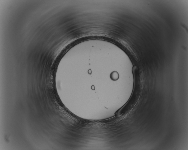 X0000100480926200807031848