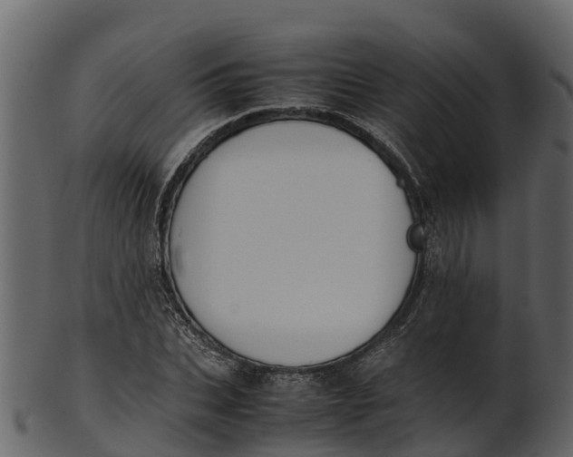 X0000100480927200807031848