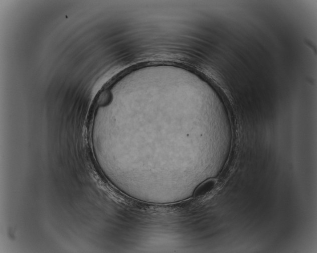 X0000100480928200807031848