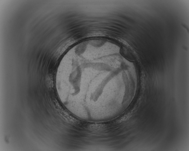 X0000100480929200807031848