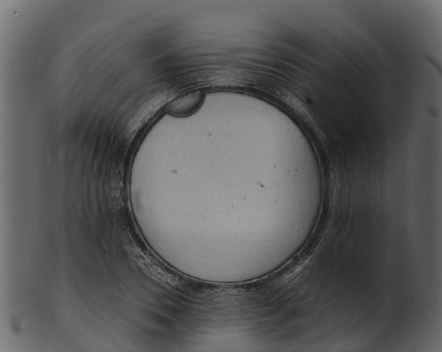 X0000100480930200807031848