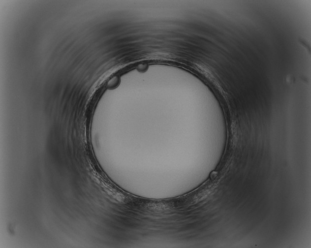 X0000100480931200807031848