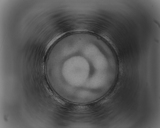 X0000100480933200807031848