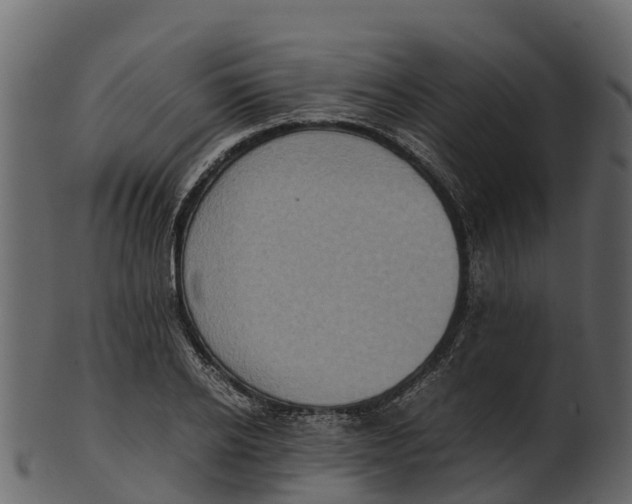 X0000100480934200807031848