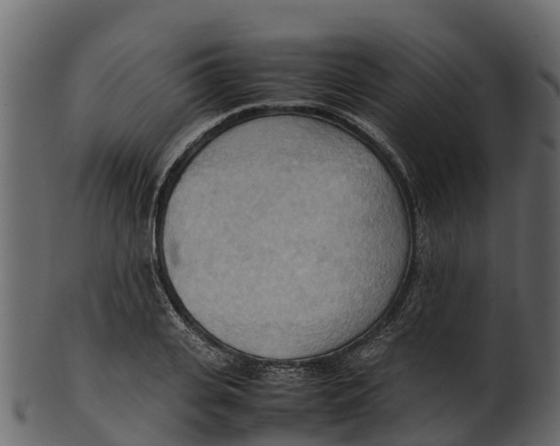 X0000100480935200807031848