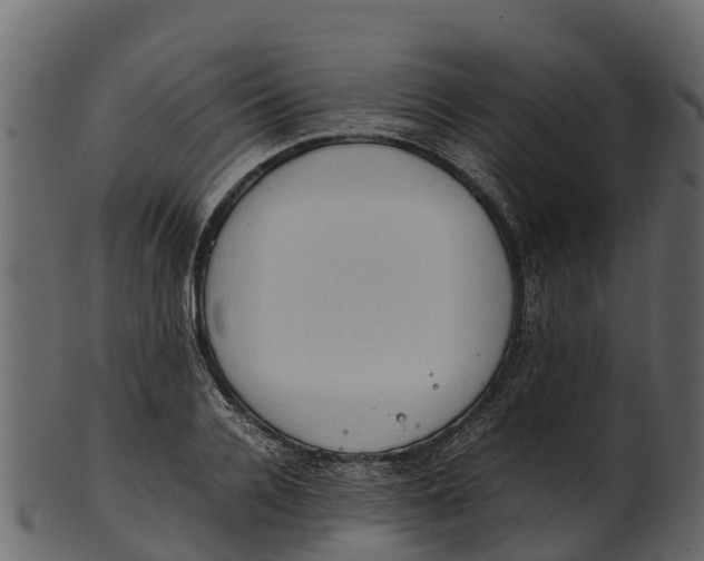 X0000100480936200807031848