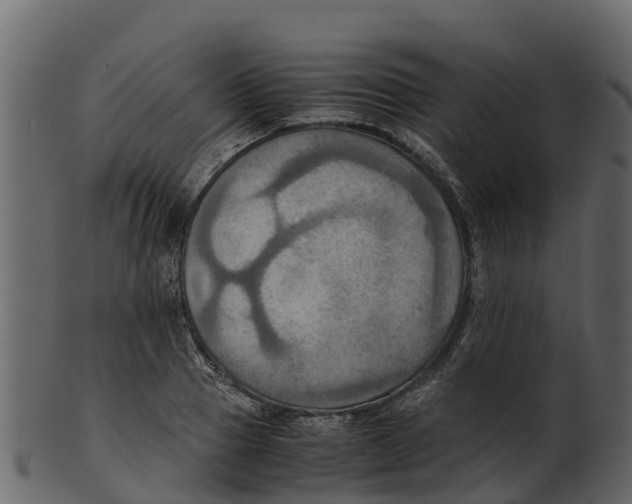 X0000100480937200807031848