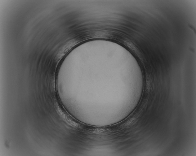 X0000100480938200807031848