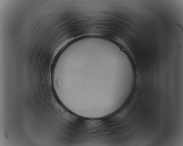 X0000100480939200807031848