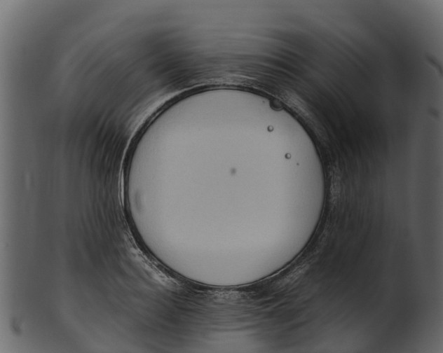 X0000100480940200807031848