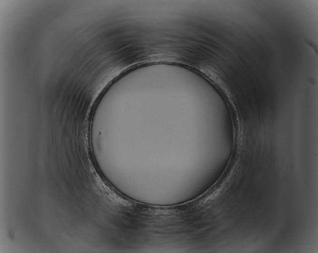 X0000100480941200807031848