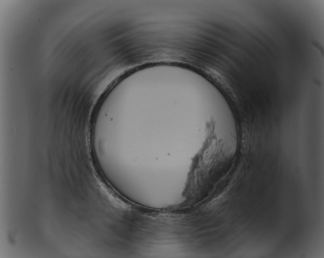 X0000100480942200807031848