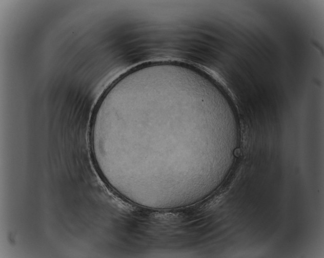 X0000100480943200807031848