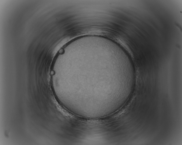 X0000100480944200807031848