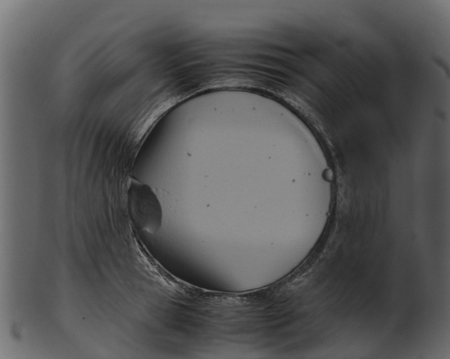 X0000100480945200807031848