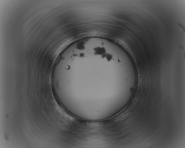 X0000100480946200807031848