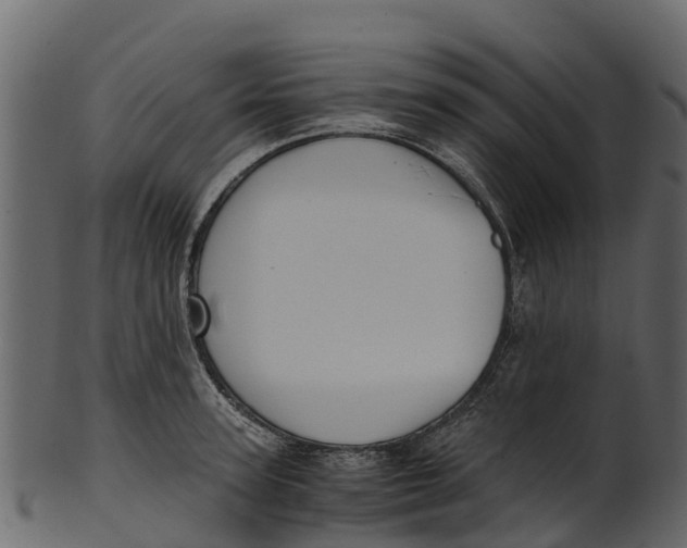 X0000100480947200807031848