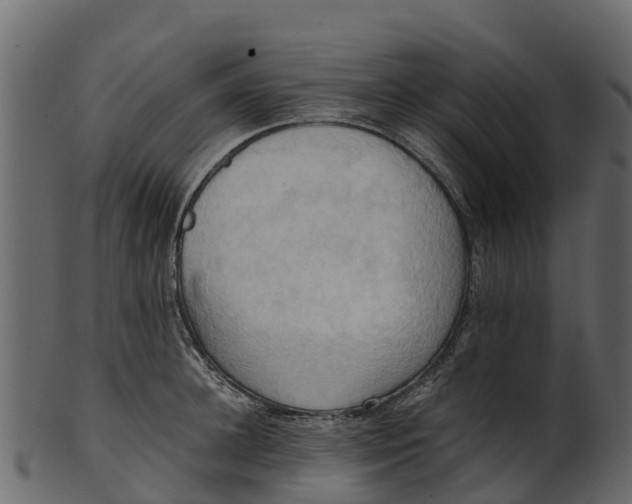 X0000100480948200807031848