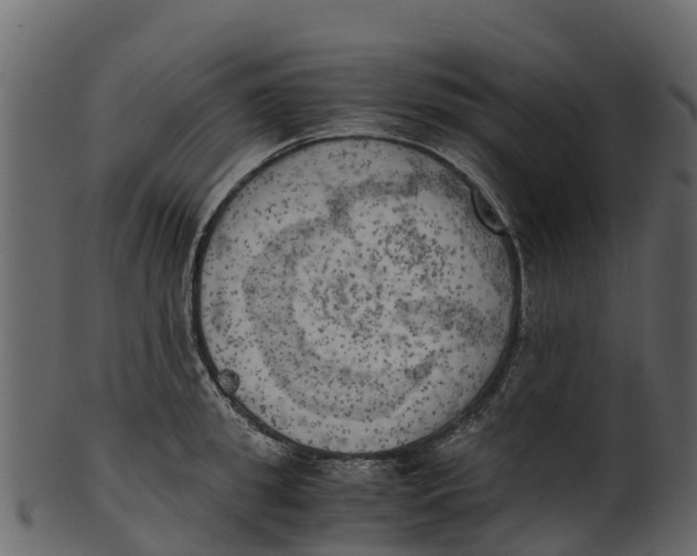 X0000100480949200807031848