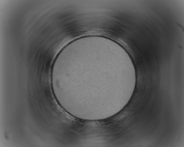 X0000100480950200807031848