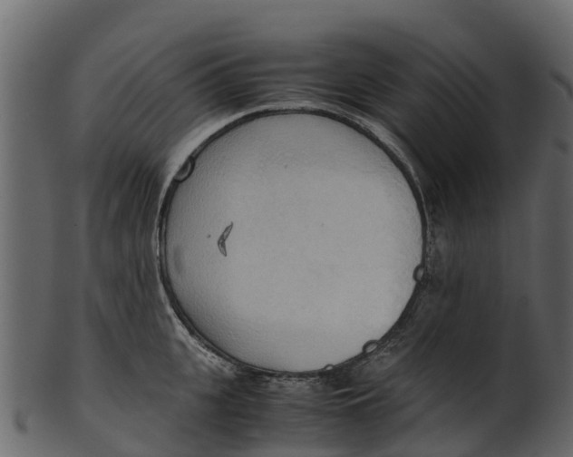 X0000100480951200807031848