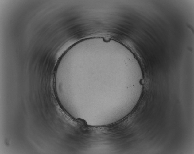 X0000100480952200807031848