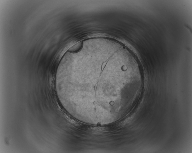 X0000100480953200807031848