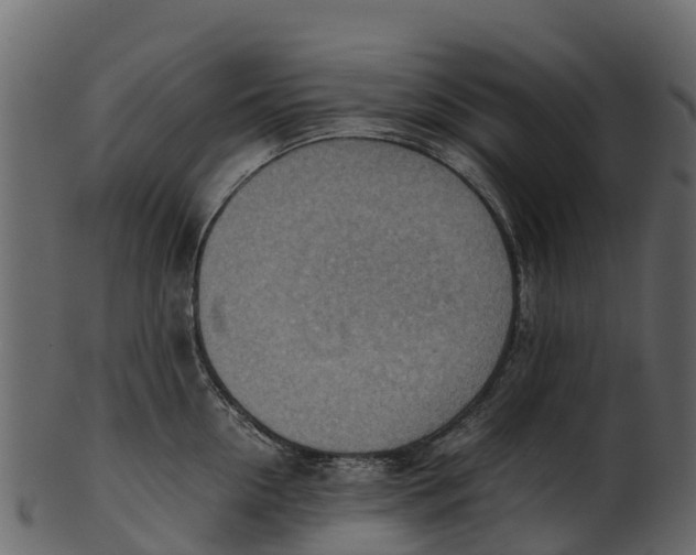 X0000100480954200807031848