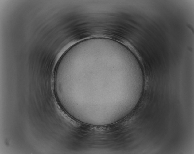 X0000100480955200807031848