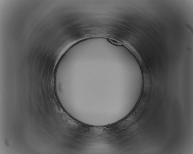 X0000100480956200807031848