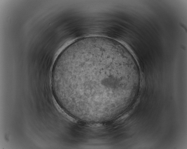 X0000100480957200807031848