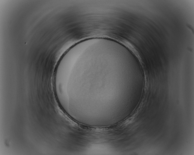 X0000100480958200807031848