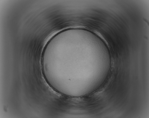 X0000100480959200807031848