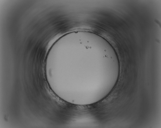 X0000100480960200807031848