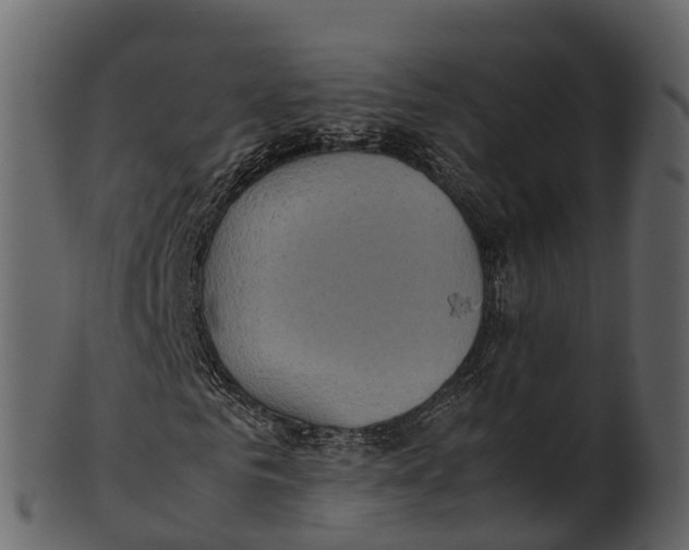 X0000100480961200807031848