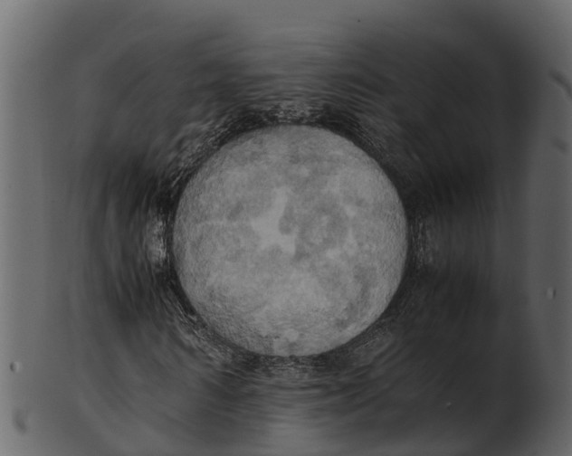 X0000100480962200807031848