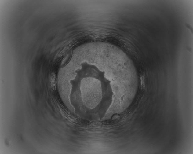 X0000100480963200807031848