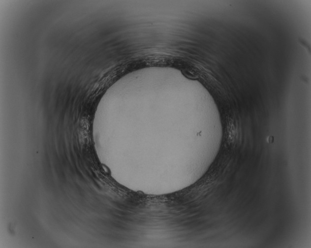 X0000100480964200807031848