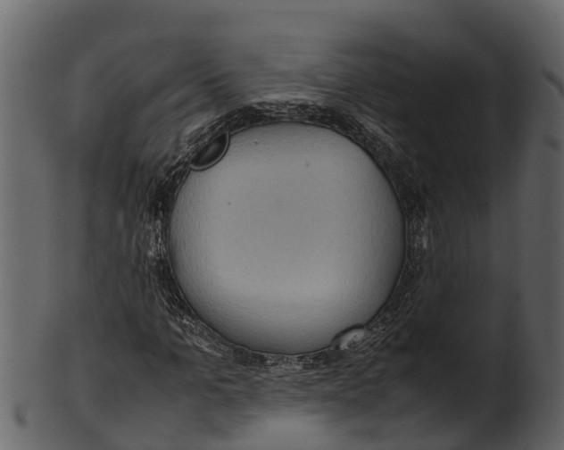 X0000100480965200807031848