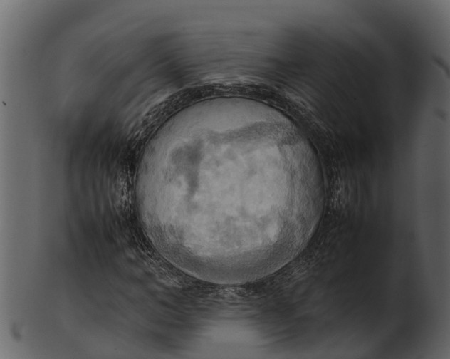 X0000100480966200807031848