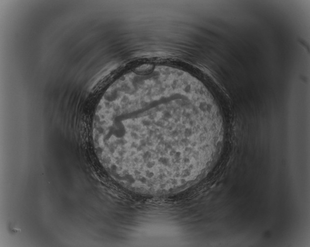 X0000100480967200807031848