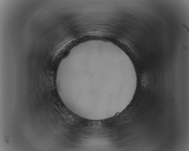 X0000100480968200807031848