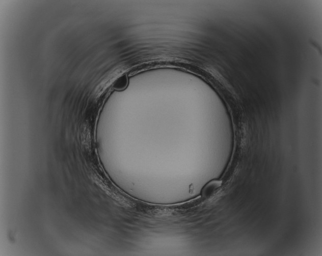 X0000100480969200807031848