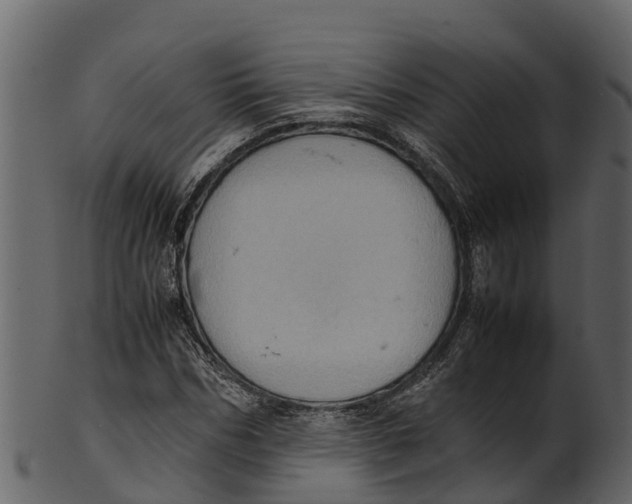 X0000100480970200807031848