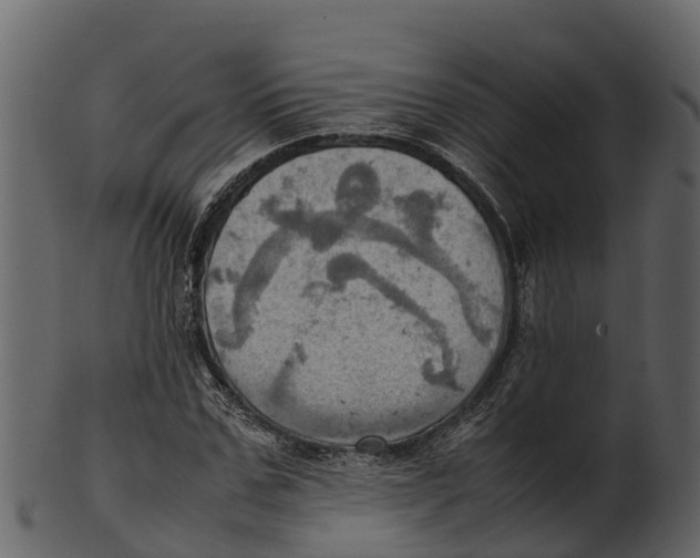 X0000100480971200807031848