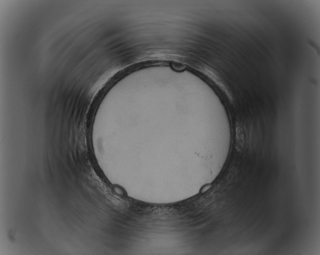 X0000100480972200807031848