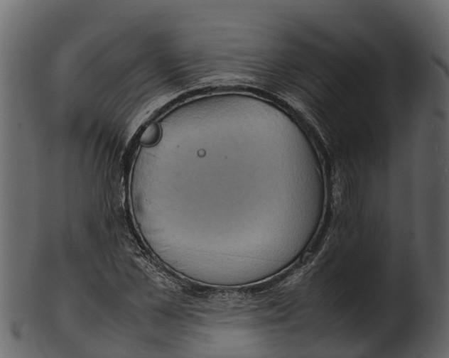 X0000100480973200807031848