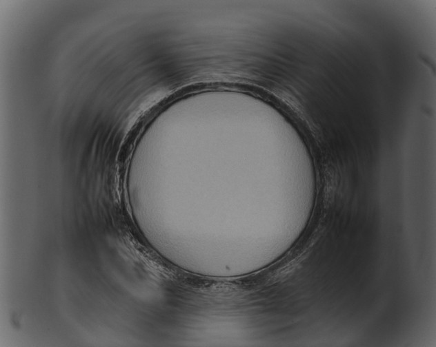 X0000100480974200807031848