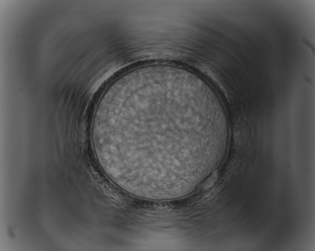 X0000100480975200807031848