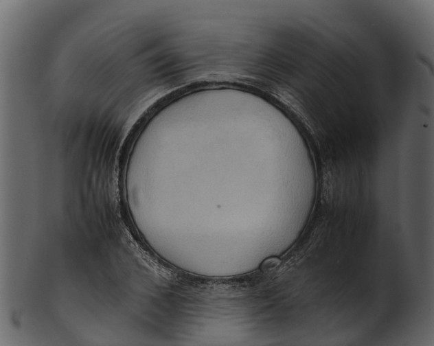 X0000100480976200807031848